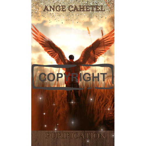 Ange Cahetel (8) - Carte portefeuille