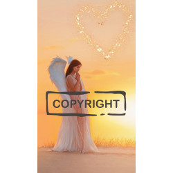 Ange Haamiah  (38) - Carte portefeuille