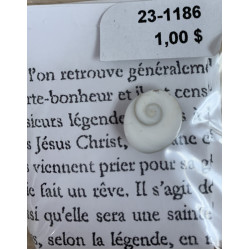 Coquillage Oeil de St-Lucie (mini) Coquillage Oeil de St-Lucie (mini)