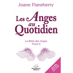Livre Les Anges au Quotidien Livre Les Anges au Quotidien